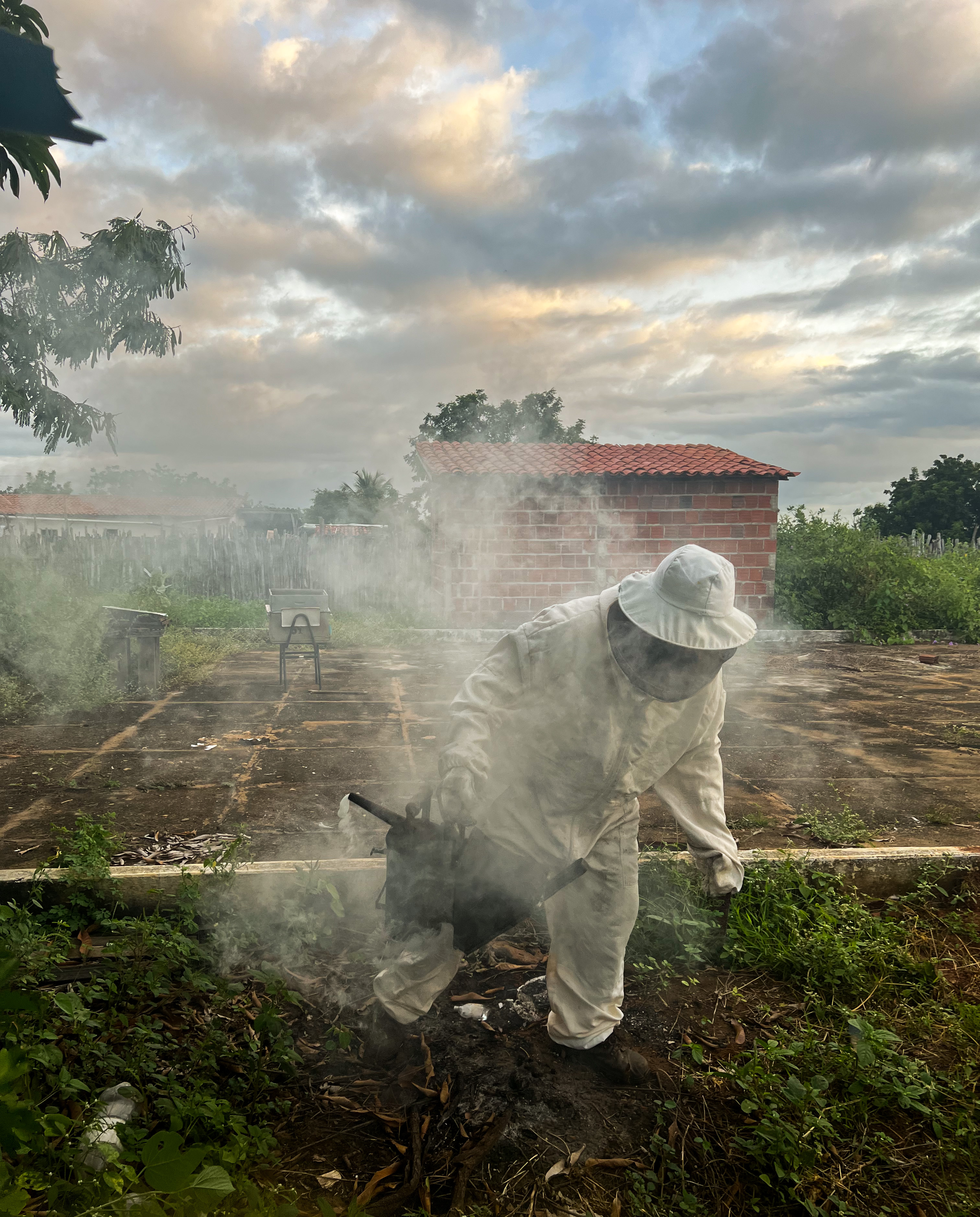1st Place: Gabrielle Langhorn  Rogerio, a Beekeeper in Ceara, Northeast Brazil