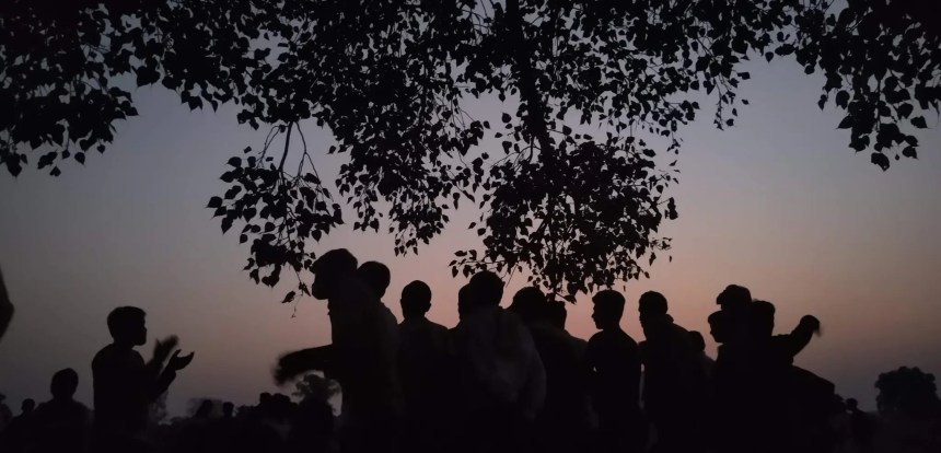 At dusk, a group of villagers joyously singing songs under a Peepal (Ficus religiosa) tree. Credit: Amit Kaushik