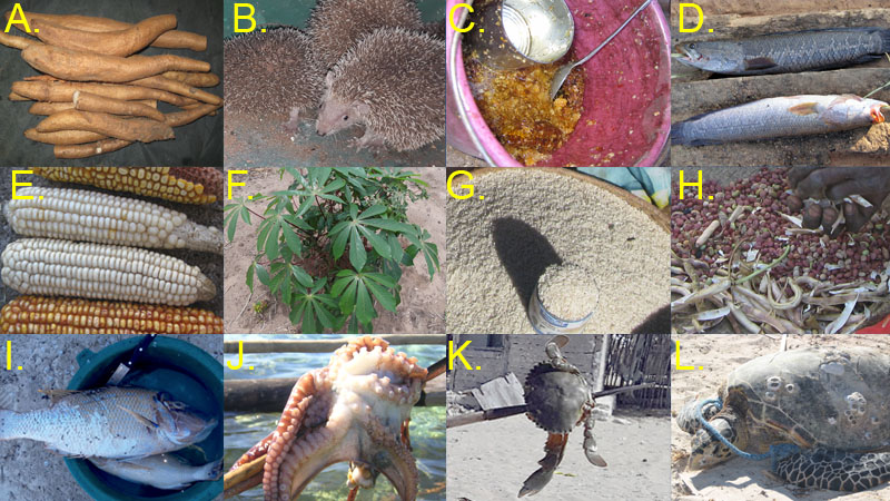 small pictures of wild prey and crops listed in caption