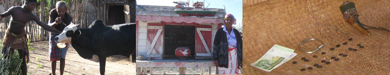 Three photos: an old man annoints the head of a cow, dripping water on its forehead; a woman stands in front of a minature house on stilts; rows of seeds sit alongside a stack of cash and a talisman made from a cow horn.
