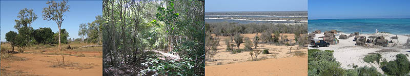 A snapshot of some of the diverse environments of SW Madagascar: Savanna, dry deciduous forest, lakebeds and thorn forest, and coast. Photos by Tucker
