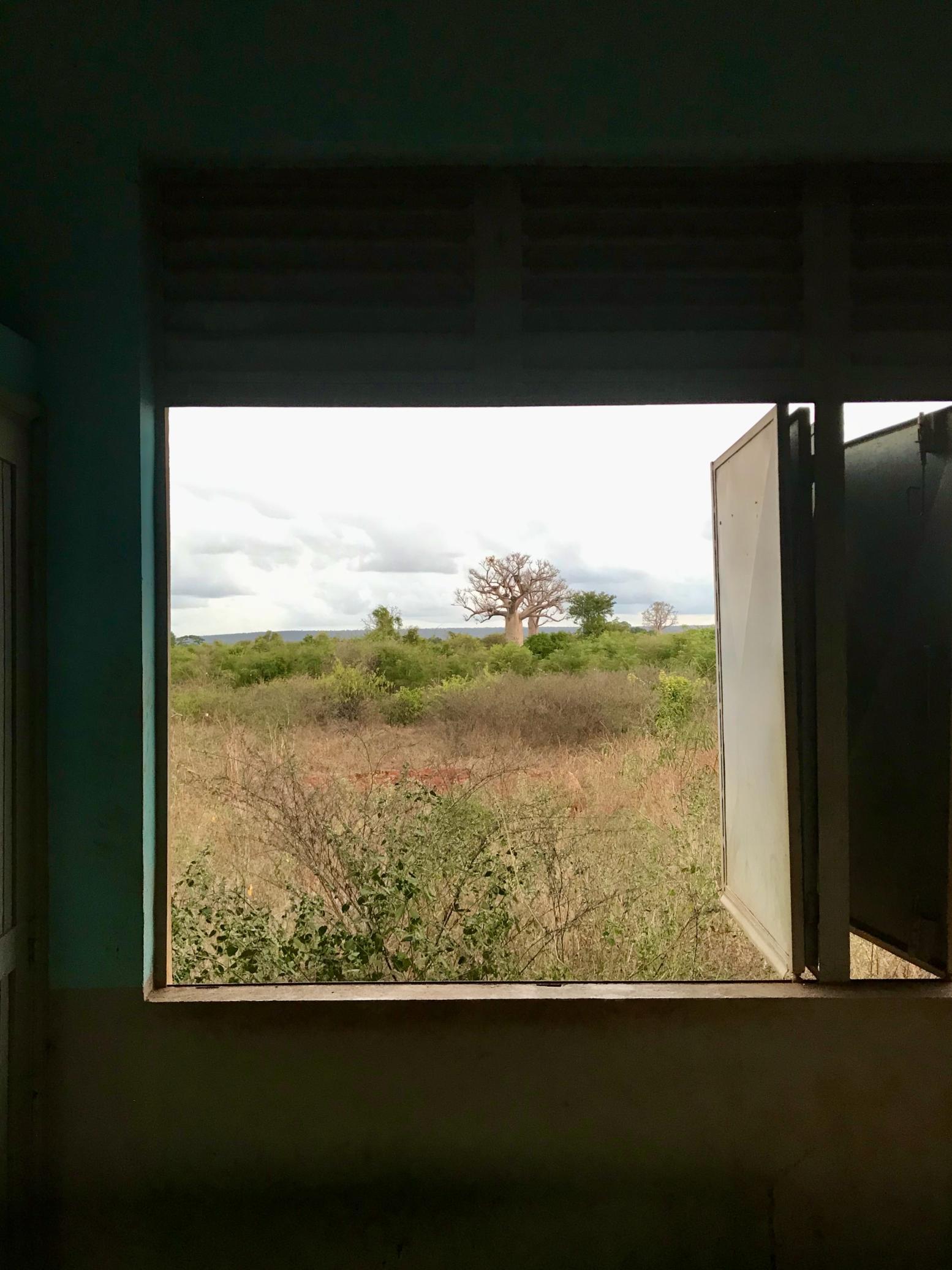 Nicole Rowley: View of the savanna from the school house in Ankatepoke, Madagascar