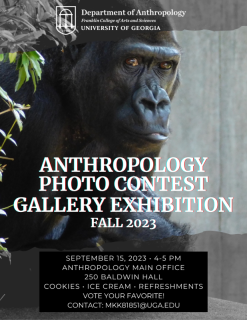 Gallery Flyer Gorilla Background Black and white/color