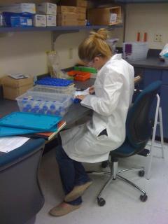 Samm Holder in the Bioarchaeology lab