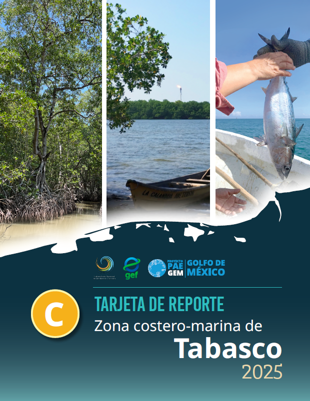 Photo of the front of publication in spanish