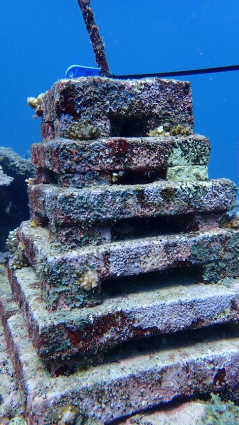 underwater artificial reef