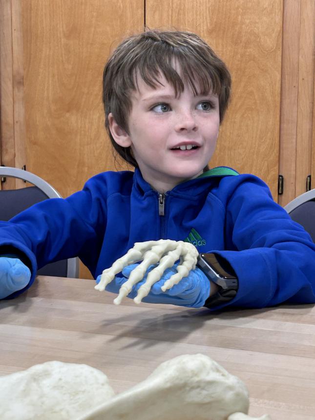 Like a giant puzzle, the kids put bones together to build a skeleton and see how all the pieces fit!