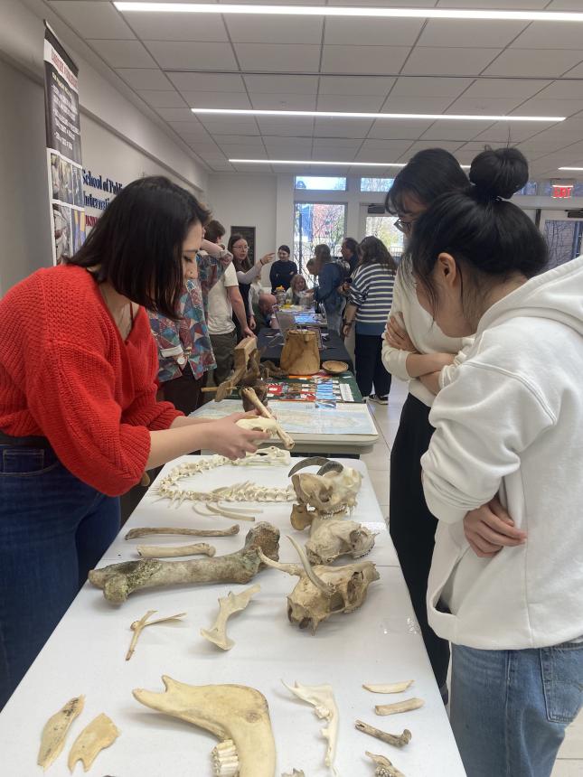 Participants were able to touch real animal bones and learn how they can be used to understand past human-environment interactions.