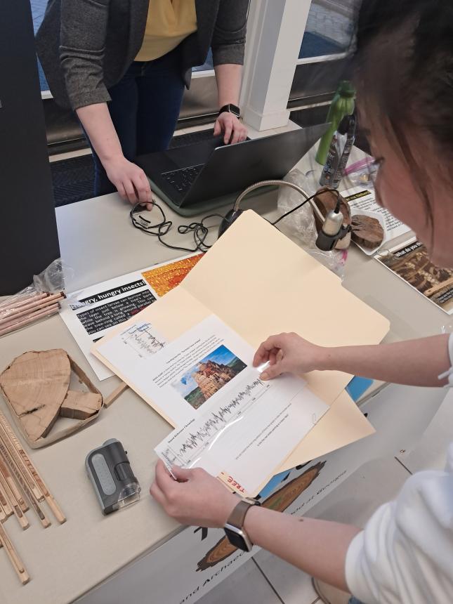 Students learned how dendrochronologists use tree ring analysis to understand past climate events and more.