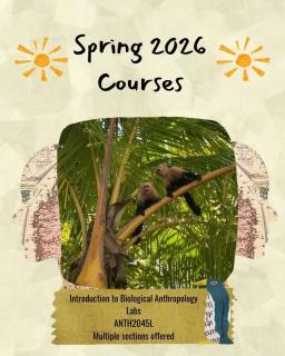 course flyer