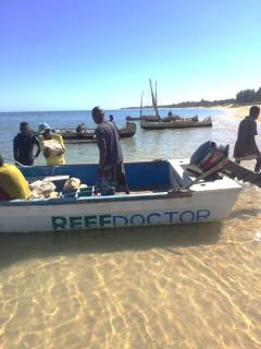 people on the Reef Doctor boat