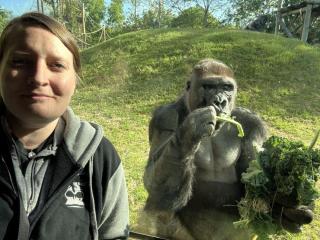 Schultz taking selfie with gorilla