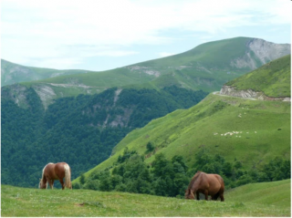 Typical upland pastures in Larrau showing treeline around 1200 m asl