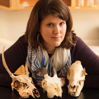 Suzanne Pilaaar Birch, faculty in both anthropology and geology, with animal skulls from a research collection.