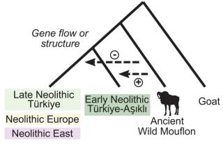 diagram from article