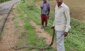 Man with snake