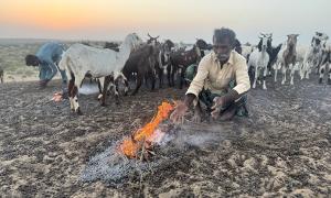 A local herder lights a fire in the late evening to keep mosquitoes away from the goats. 
