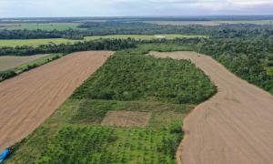 Farm