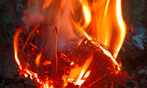 A blazing tinder bundle, the result of a successful friction fire with the hand drill method. 