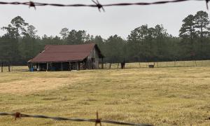 'Useful' On a visit to the town of Martin, Louisiana, I discovered a barn built by the owner's great-grandfather. It has sat unused for the third decade in a row. 