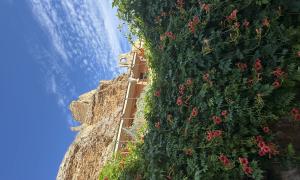 View from below Zorita Castle (Zorita de Los Canes, Guadalajara, Spain). July 2025 