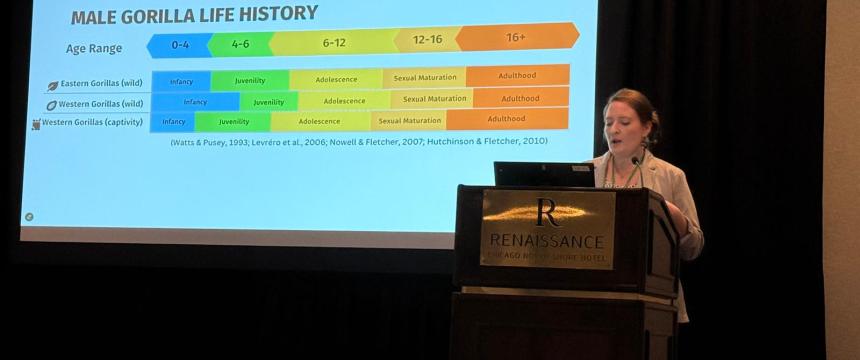 Rhiannon presenting.