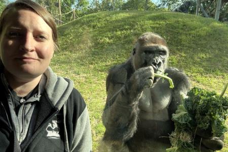 Schultz taking selfie with gorilla