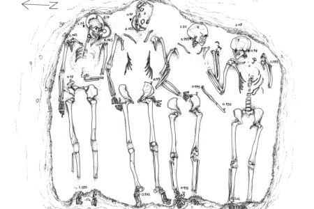 sketch of skeletons