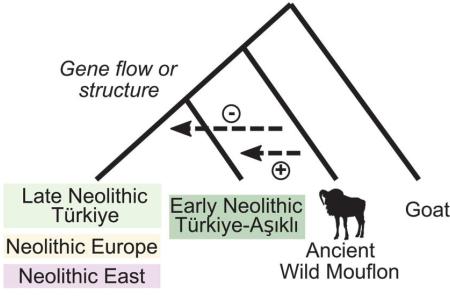 diagram from article