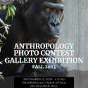 Gallery Flyer Gorilla Background Black and white/color